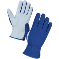 (AP-GC-DG-2650) Driver & Rigger Gloves