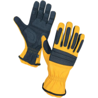 (AP-FR-RG-7795) Rescue GLOVES
