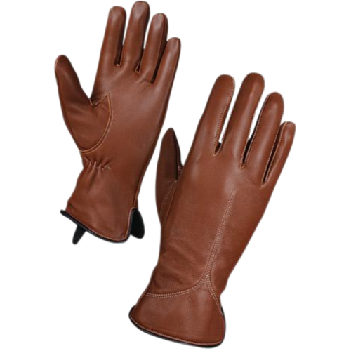 (AP-S-DG-1060) LEATHER FASHION GLOVES