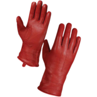 (AP-S-DG-1120) LEATHER FASHION GLOVES