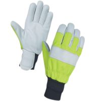 (AP-CC-TH-0041) CHAINSAW GLOVES