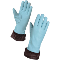 (AP-SS-DG-3910) LEATHER FASHION GLOVES